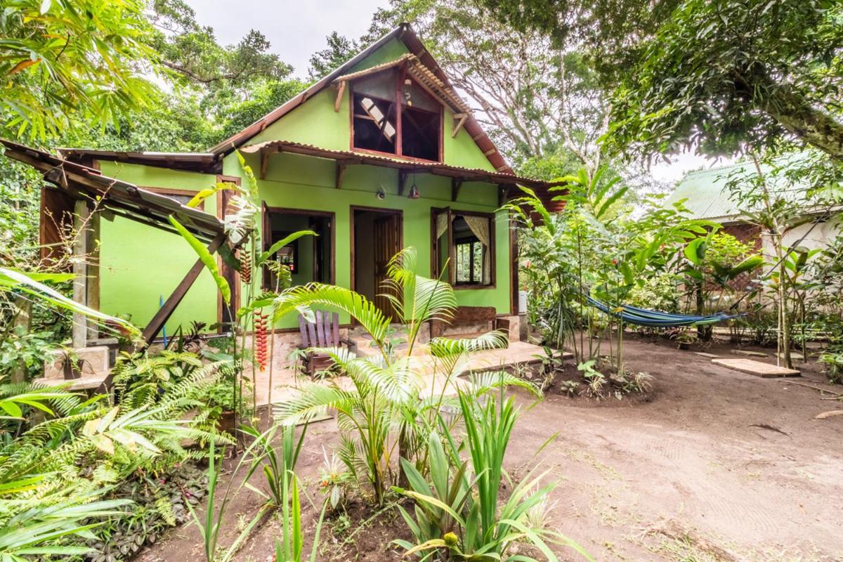 Casa Chilamates Tortuguero Exteriör bild