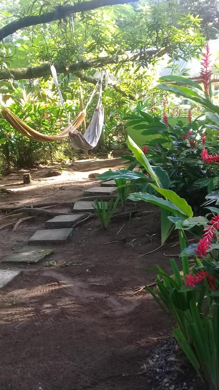Casa Chilamates Tortuguero Exteriör bild
