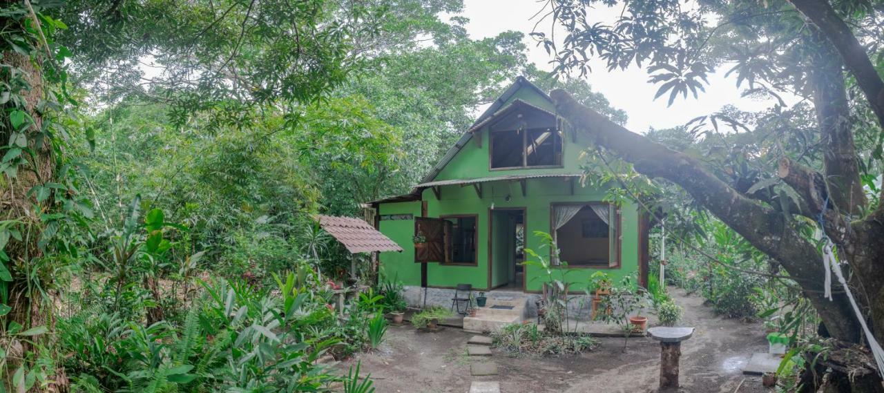 Casa Chilamates Tortuguero Exteriör bild