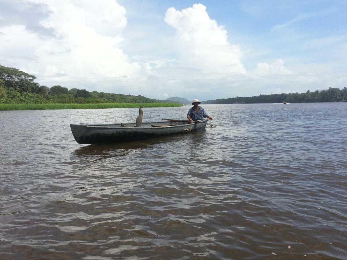 Casa Chilamates Tortuguero Exteriör bild