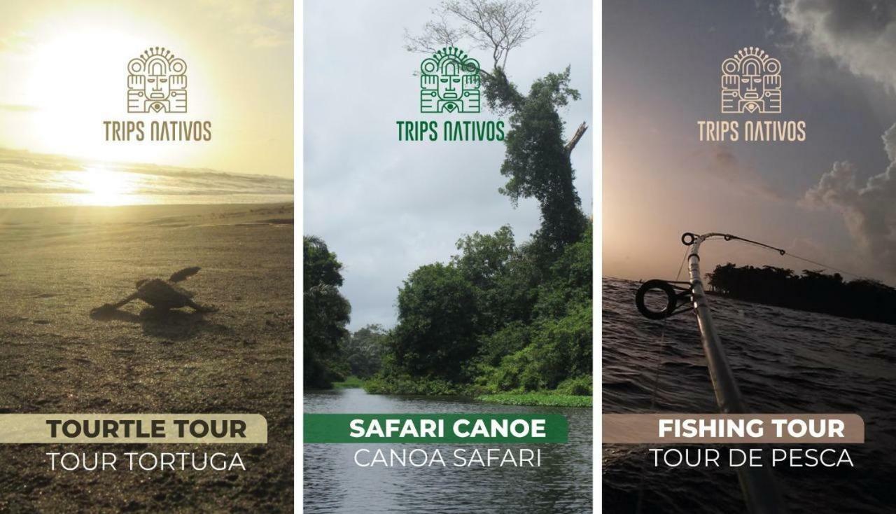 Casa Chilamates Tortuguero Exteriör bild
